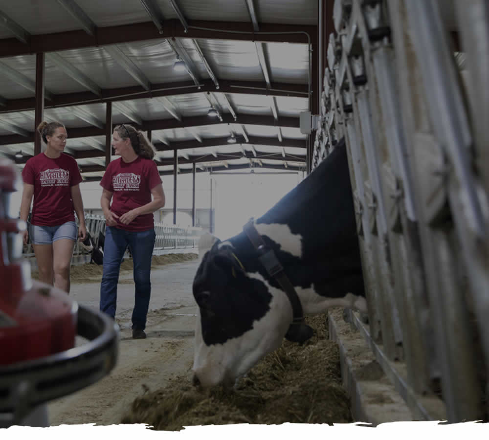 About Hinchley's Dairy Farm Tours WI