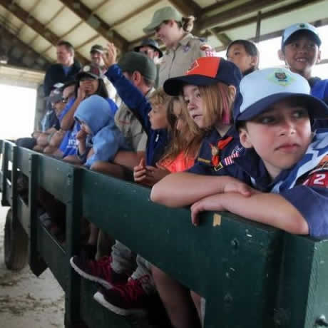 Book a Dairy Farm Tour