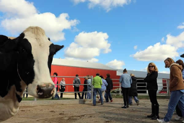 Dairy Farm Tours Group Rates