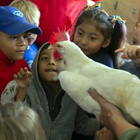 Experience a Dairy Farm Tour