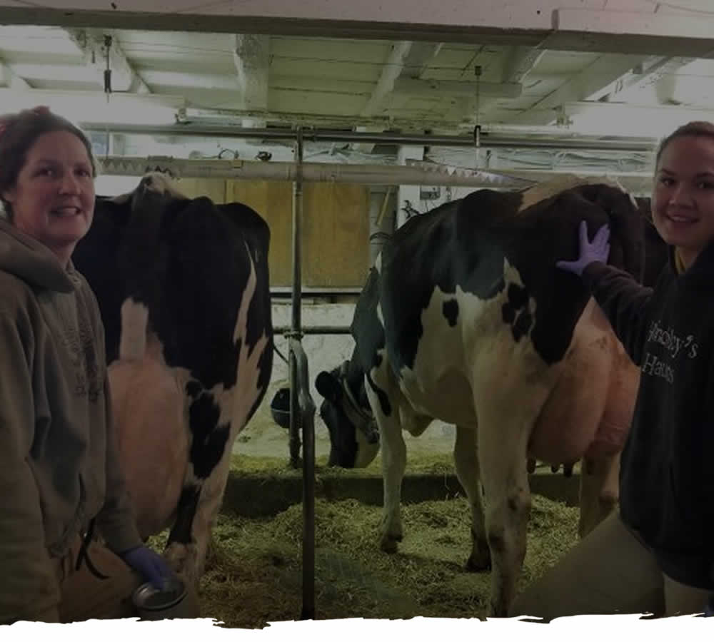 Group Rates Dairy Farm Tours WI