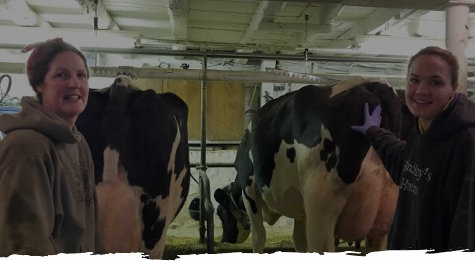 Group Rates Dairy Farm Tours