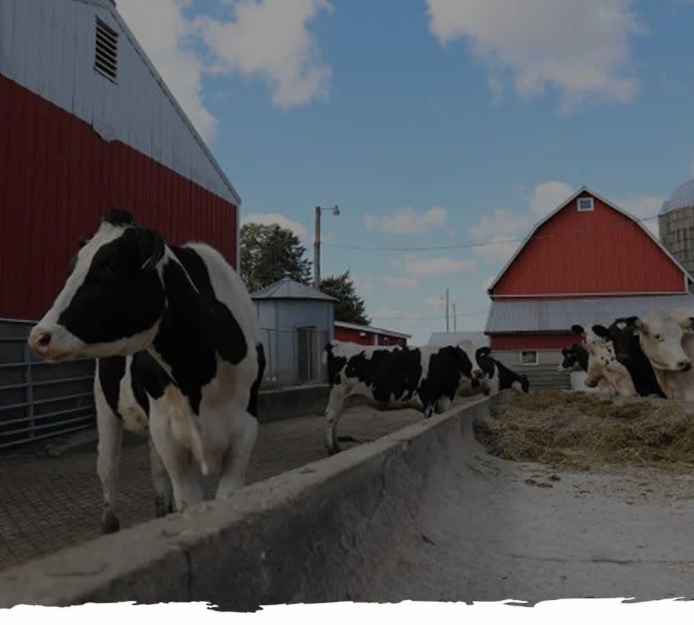 Hinchley's Dairy Farm Tours WI Location