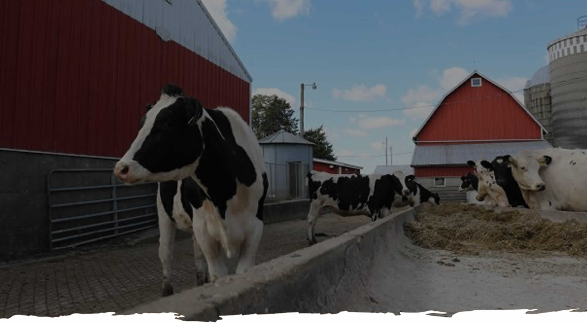 Hinchley's Dairy Farm Tours Location