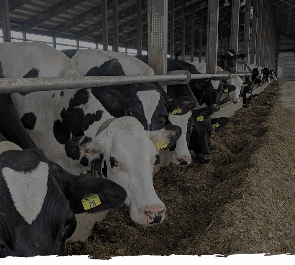 Hinchley's Dairy Farm Tours WI