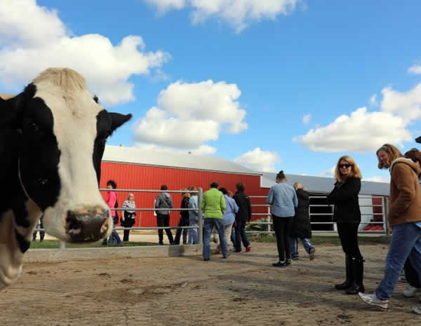 WI Dairy Farm Tour Information